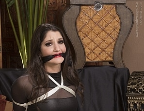 1200-1299/wmbcv-1211